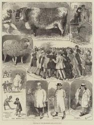 Esboços no Smithfield Club Cattle Show